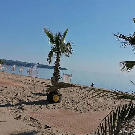 Ivet Guest -
