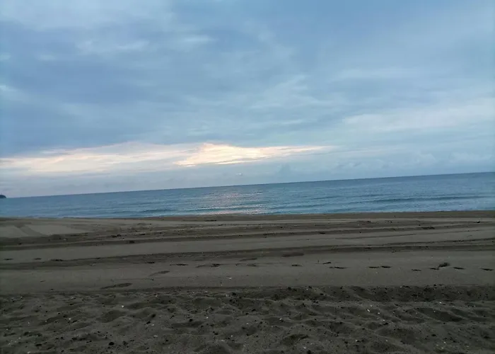 Ivet Guest - * Obzor